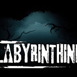 Labyrinthine EU Steam CD Key