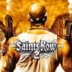 Saints Row 2 EU Steam CD Key