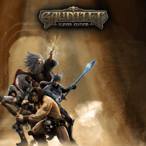 Gauntlet - Slayer Edition EU PC Steam CD Key