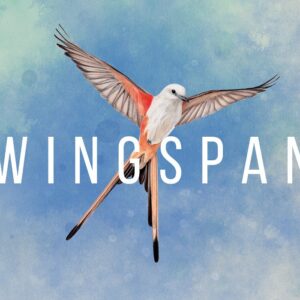 Wingspan EU Steam Altergift